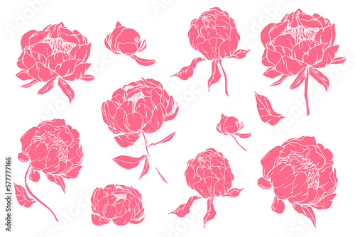 Drawn peonies. Set for decor. Peons. Wedding. Holidays. Spring. May. April. Flowers. Silhouette.