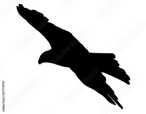 eagle in the sky black silhouette. Hand drawn Vector illustration for various applications, logo design, t-shirt design, web design, print, interior, books design and many more.