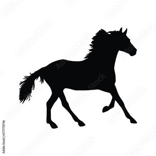 silhouette of a horse black silhouette. Hand drawn Vector illustration for various applications, logo design, t-shirt design, web design, print, interior, books design and many more.