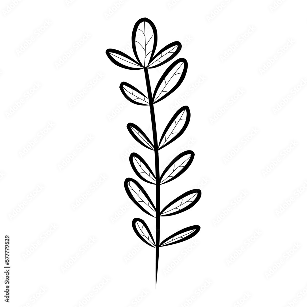 Beautiful Flowers and Plants Collection Beautiful Flowers and Plants Collection