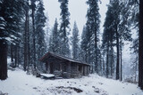 old cabin in the snowy woods