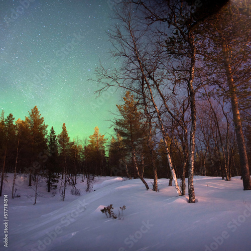 Night sky illuminated by green northern lights. Lapland