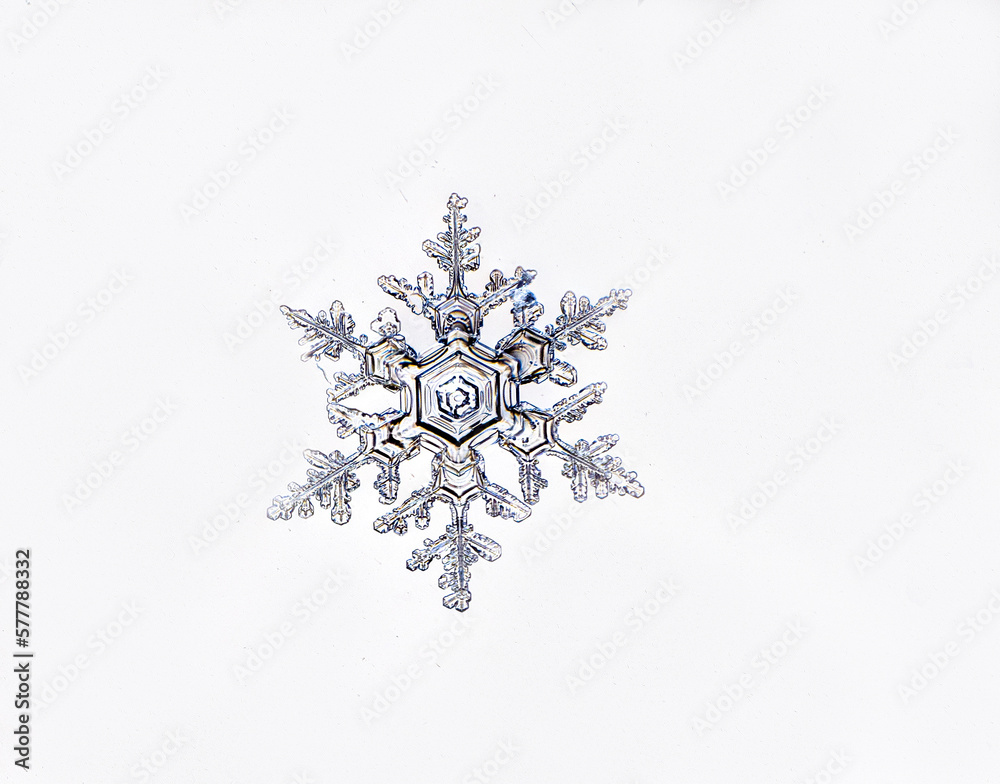 macro photo of a snowflake on a white background