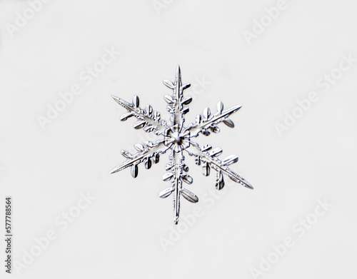 Snowflake photo on a gray background