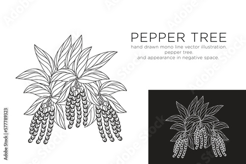 hand drawn monoline vector illustration.
pepper tree.
and appearance in negative space.