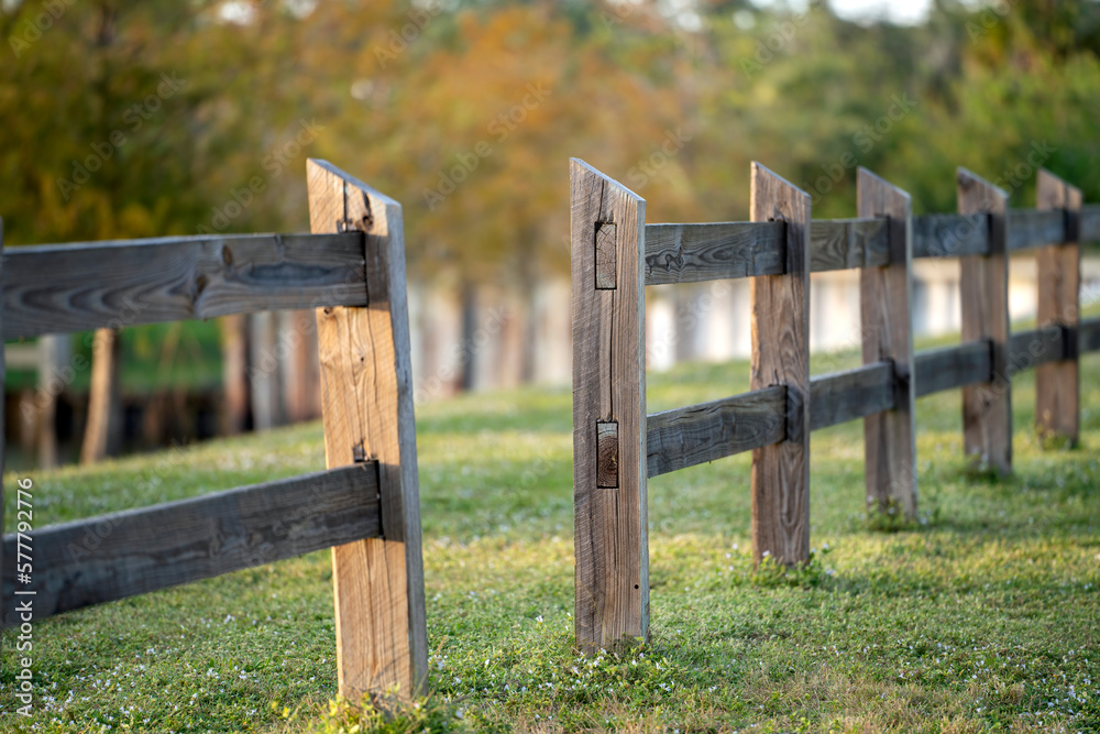 Wooden fence barrier at farm grounds for cattle and territory protection Wooden fence barrier at farm grounds for cattle and territory protection