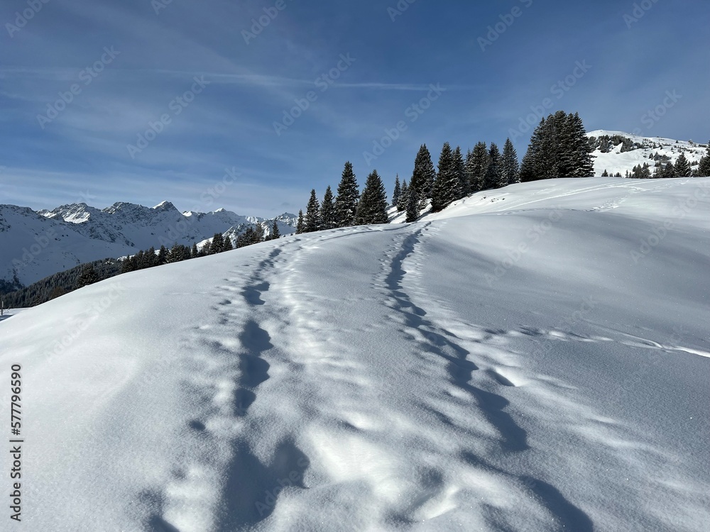 Wonderful winter hiking trails and traces in the fresh alpine snow cover of the Swiss Alps and over the tourist resort of Arosa - Canton of Grisons, Switzerland (Schweiz) Wonderful winter hiking trails and traces in the fresh alpine snow cover of the Swiss Alps and over the tourist resort of Arosa - Canton of Grisons, Switzerland (Schweiz)