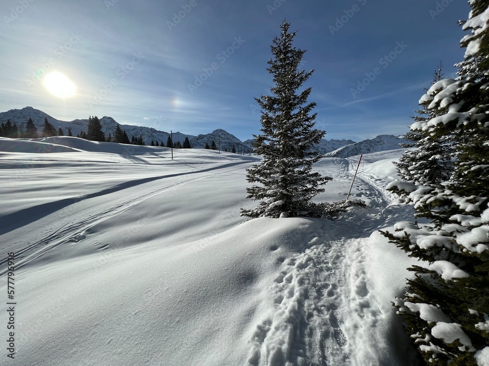 Wonderful winter hiking trails and traces in the fresh alpine snow cover of the Swiss Alps and over the tourist resort of Arosa - Canton of Grisons, Switzerland (Schweiz)
