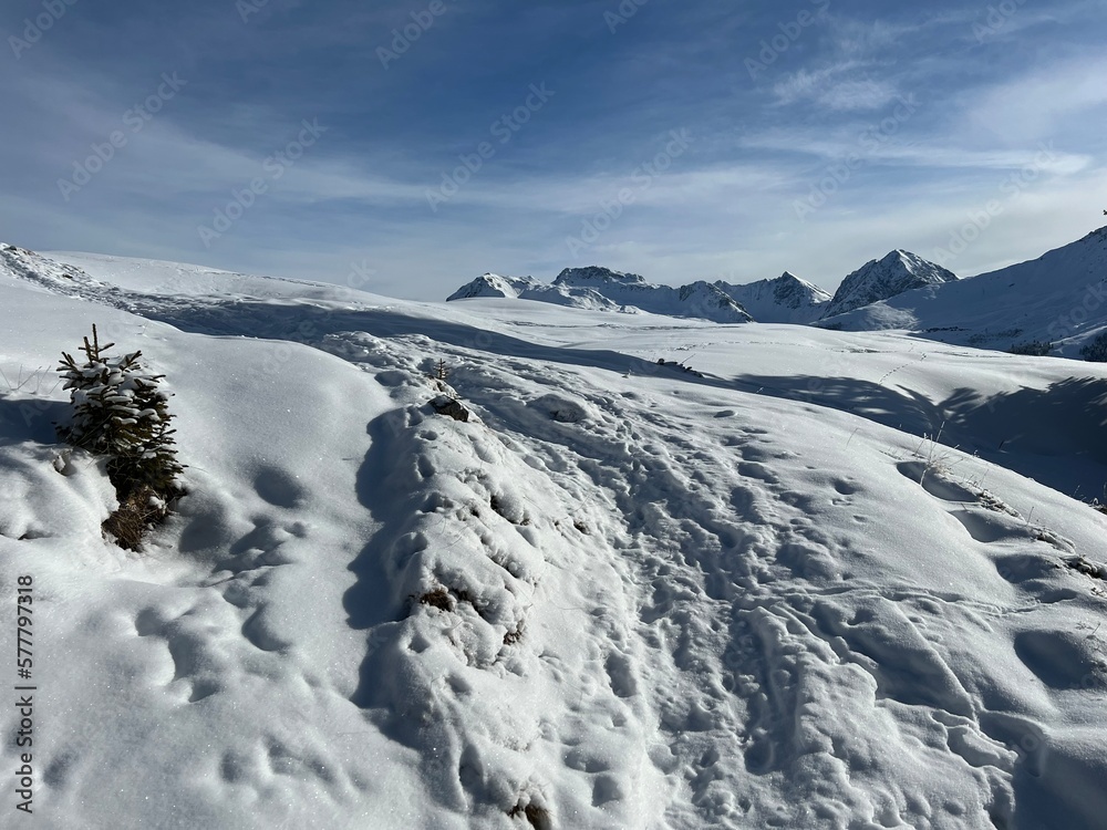 Wonderful winter hiking trails and traces in the fresh alpine snow cover of the Swiss Alps and over the tourist resort of Arosa - Canton of Grisons, Switzerland (Schweiz) Wonderful winter hiking trails and traces in the fresh alpine snow cover of the Swiss Alps and over the tourist resort of Arosa - Canton of Grisons, Switzerland (Schweiz)
