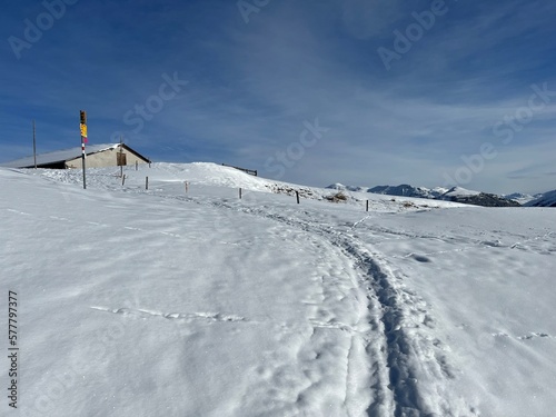 Wonderful winter hiking trails and traces in the fresh alpine snow cover of the Swiss Alps and over the tourist resort of Arosa - Canton of Grisons, Switzerland (Schweiz) © Mario
