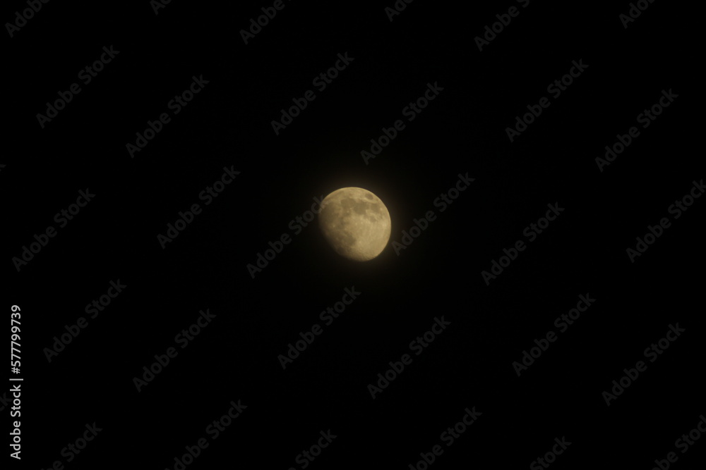 moon in the night moon in the night