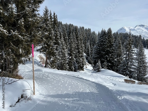 Excellently arranged and cleaned winter trails for walking, hiking, sports and recreation in the area of the Swiss tourist winter resort of Arosa - Canton of Grisons, Switzerland (Schweiz) © Mario