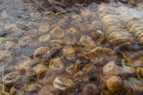 Photo of dried figs under the sun