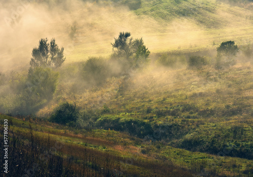 Fototapeta Naklejka Na Ścianę i Meble -  Trees in the Fog. Autumn morning. Nature of Ukraine