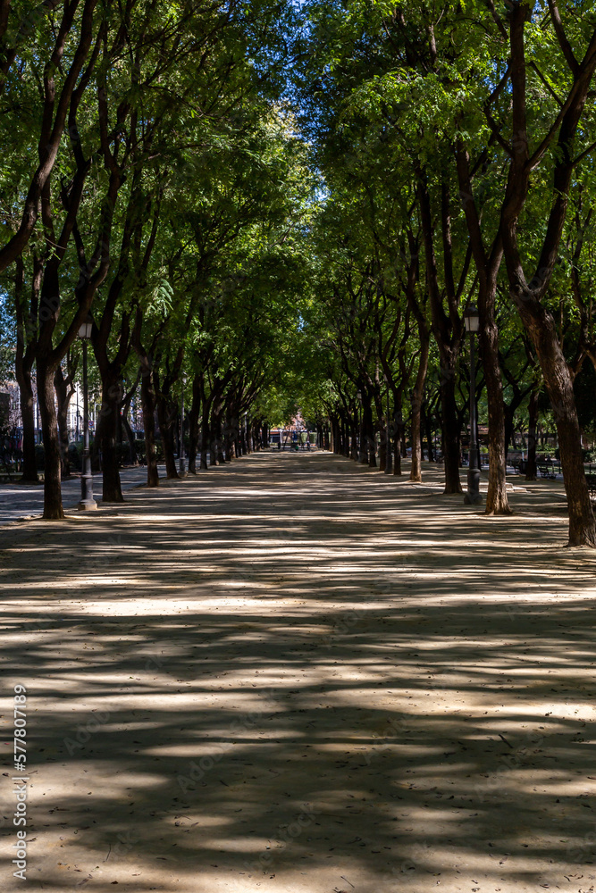 Dappled sunlight on a footpath through a park in Seville Dappled sunlight on a footpath through a park in Seville