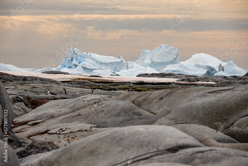 Pleneau Island photo