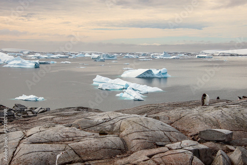 Pleneau Island photo