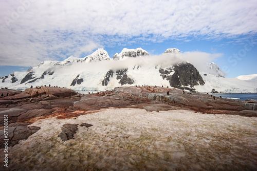 Pleneau Island photo