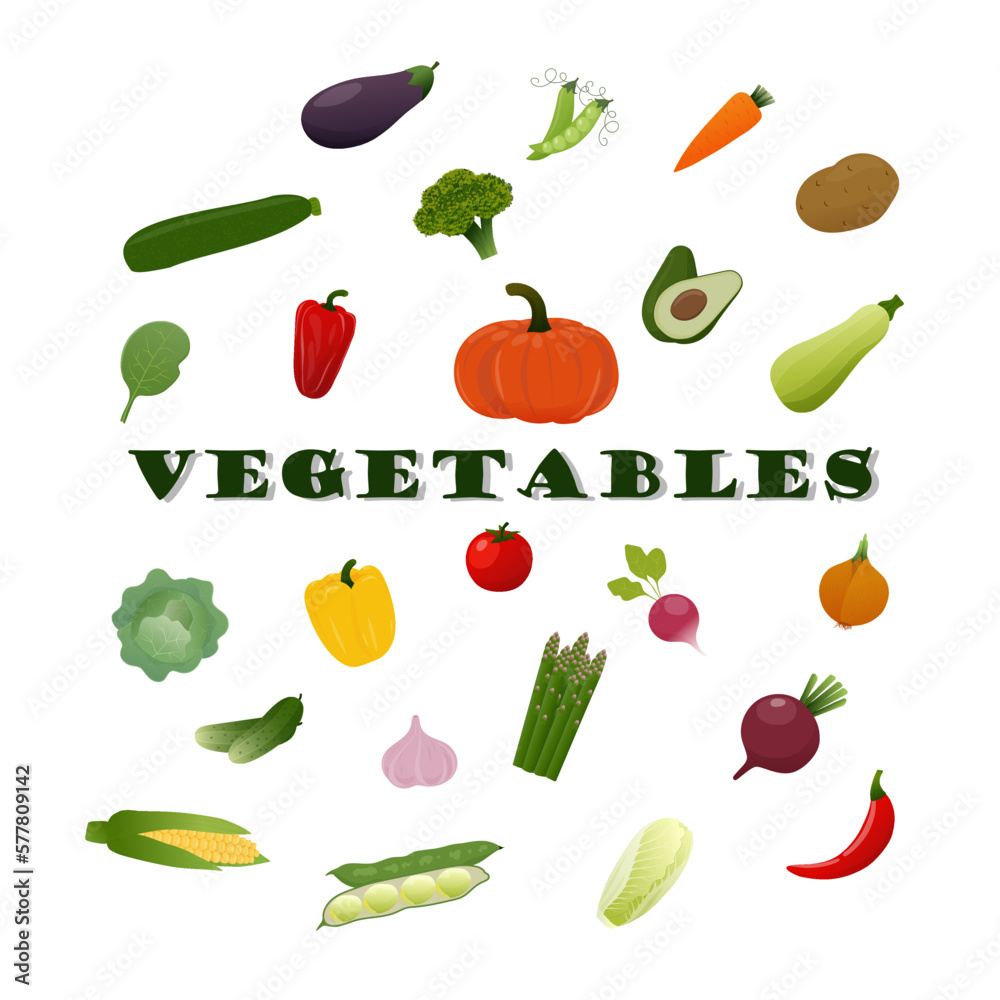 Set of vector vegetables. Summer vegetables Set of vector vegetables. Summer vegetables