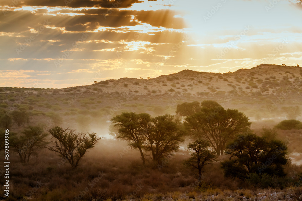 Sunset scenery with mist in Kgalagadi transfrontier park, South Africa