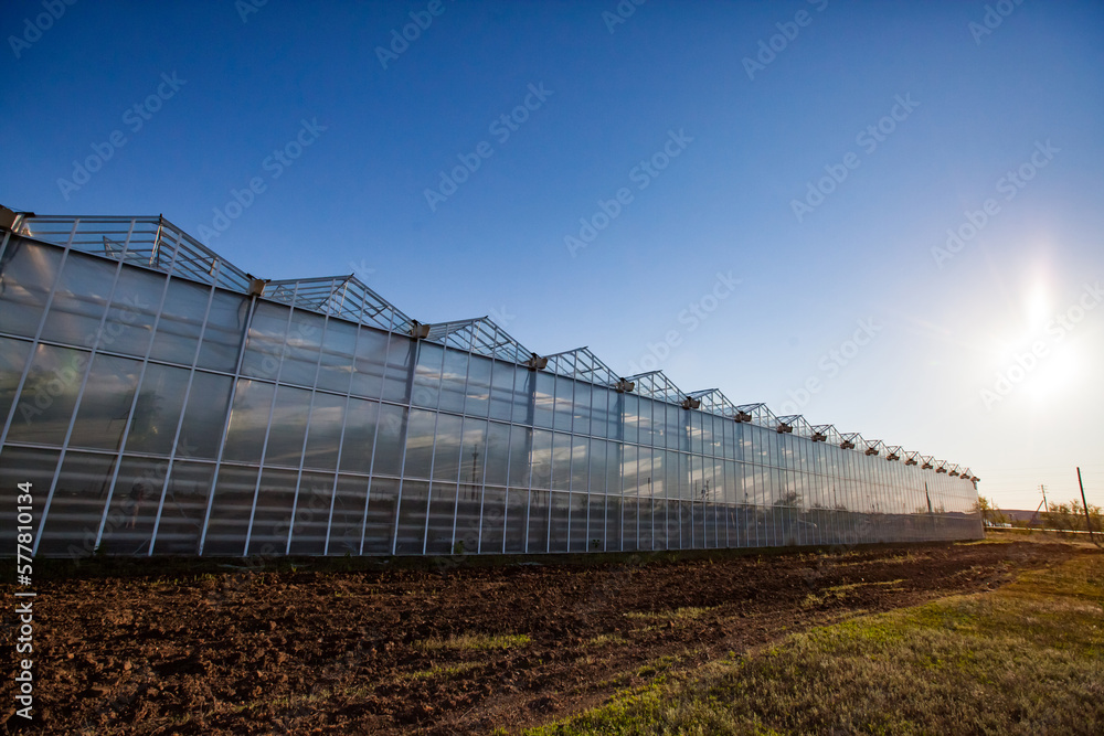Glass greenhouses in sunset. Blue sky with sun. Glass greenhouses in sunset. Blue sky with sun.