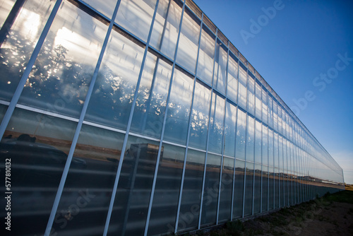 Glass wall greenhouse against blue sky.