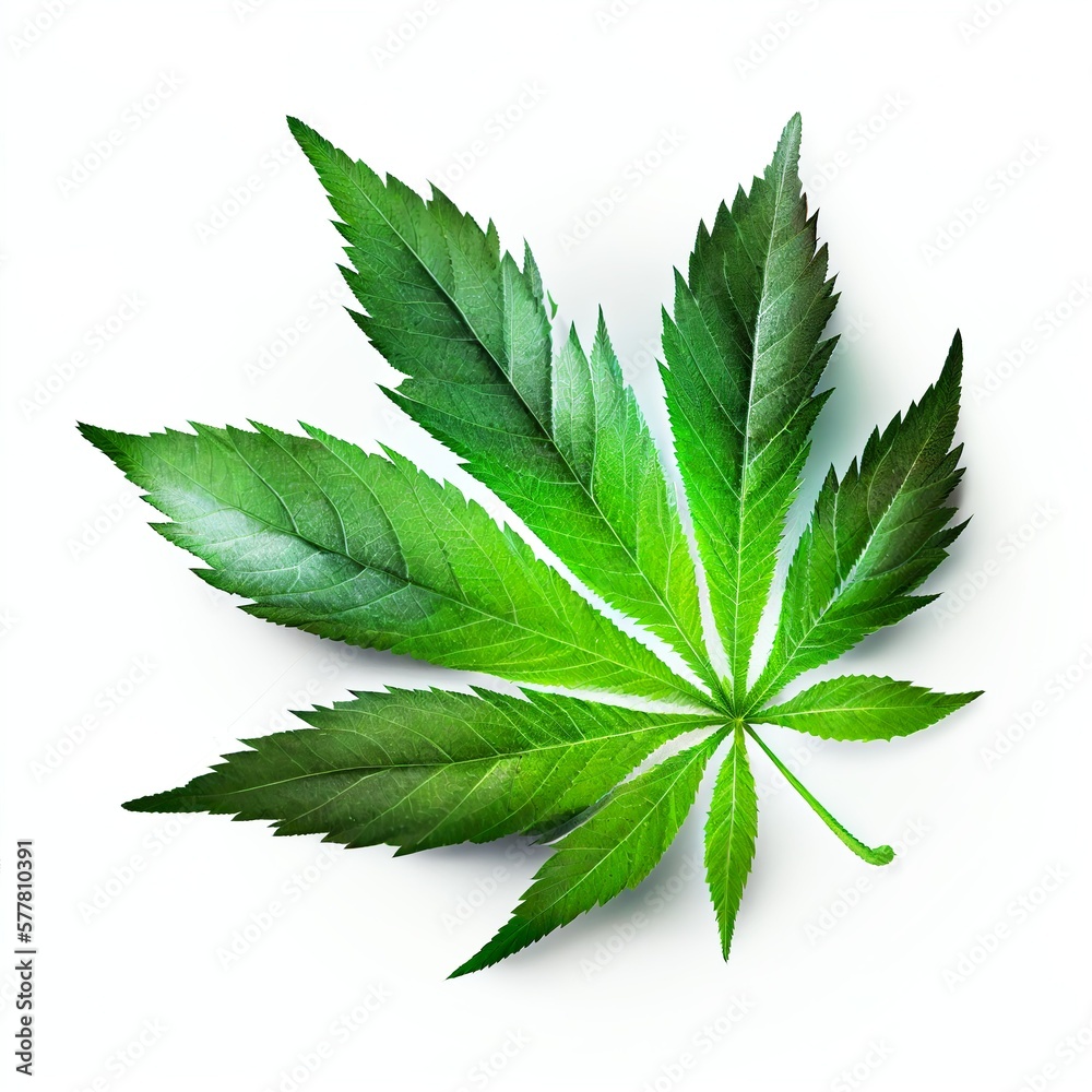 Marijuana leaf, green cannabis, weed. Generative AI Marijuana leaf, green cannabis, weed. Generative AI