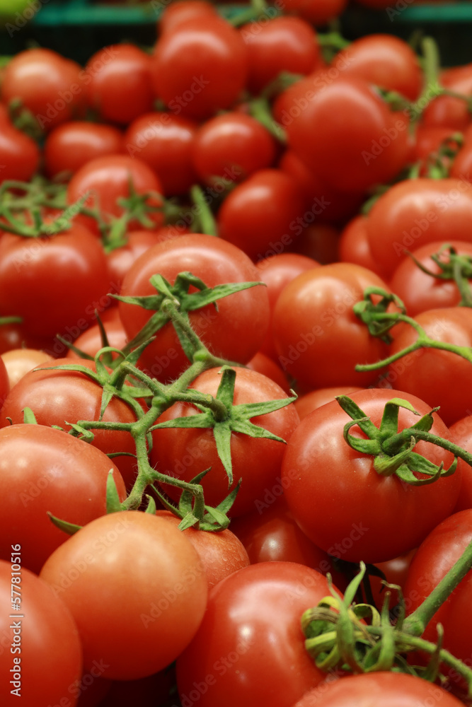 red color small tomato on table red color small tomato on table