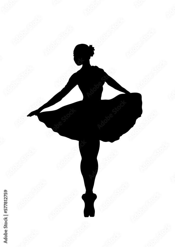 silhouette of a ballerina silhouette of a ballerina