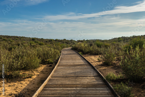 wooden path on the sand surrounded by bushes on a sunny day with some clouds