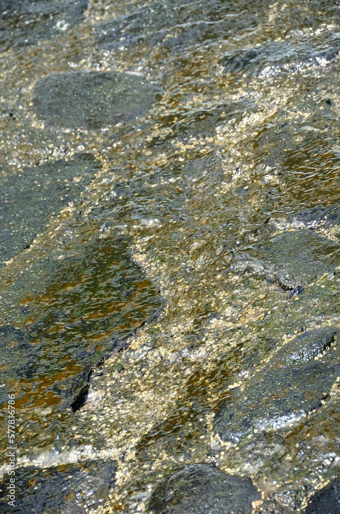 Piedras brillantes en el muelle de Alojera, La Gomera Piedras brillantes en el muelle de Alojera, La Gomera