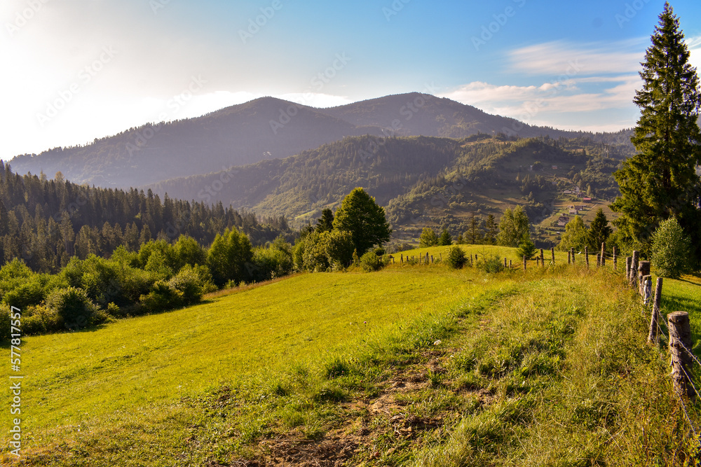 Ukraine Carpathians, Slavske. Mountain landscape on a sunny day with a green grassy meadow. Green Hills
environment of trascarpathia in  summer on a sunny. Landscape of carpathian mountains
