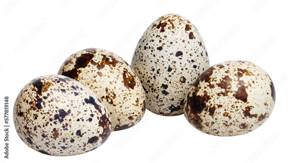 Delicious quail eggs cut out Delicious quail eggs cut out