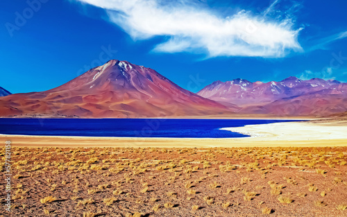 Beautiful wild arid andes high plain landscape, dark blue lake, red colorful volcano Miniques cone, sand with yellow dry grass tufts - Laguna Miscanti, Atacama desert, Chile © Ralf