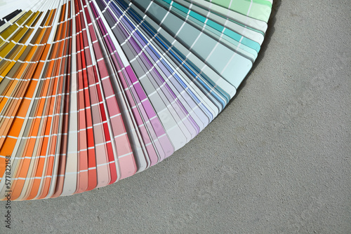 Próbnik kolorów na tle cementowej posadzki w nowym domu. Paleta barw © J