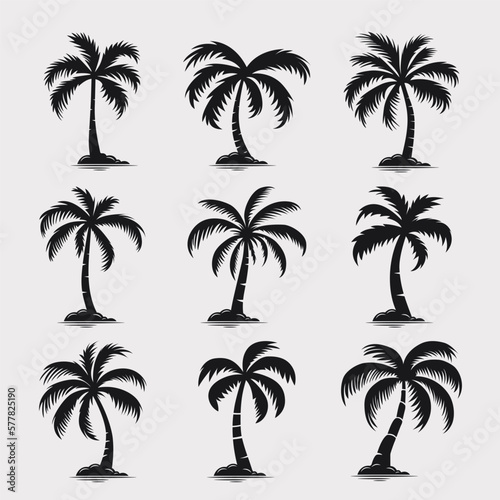 Vector Palm Trees  Palm Tree Icon Set Isolated. Palm Silhouettes. Design Template for Tropical  Vacation  Beach  Summer Concept. Vector Illustration. Front View