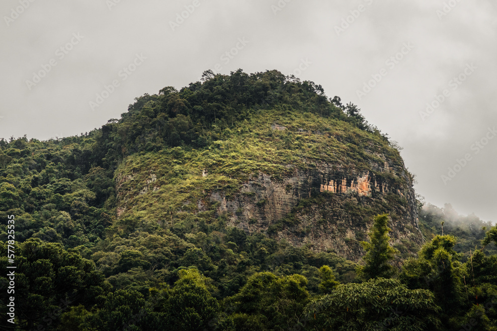 Lush green hill top in Brazil