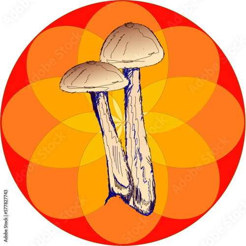 Mushrooms in a geometric sun pattern circle