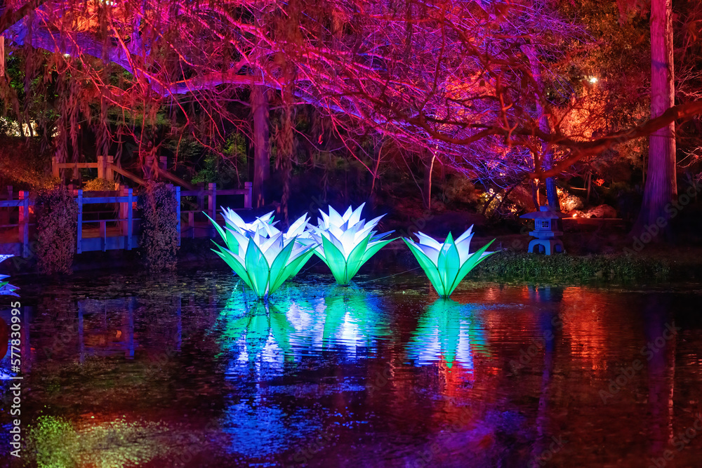 Fototapeta premium Lightscape at Fort Worth Botanic Garden