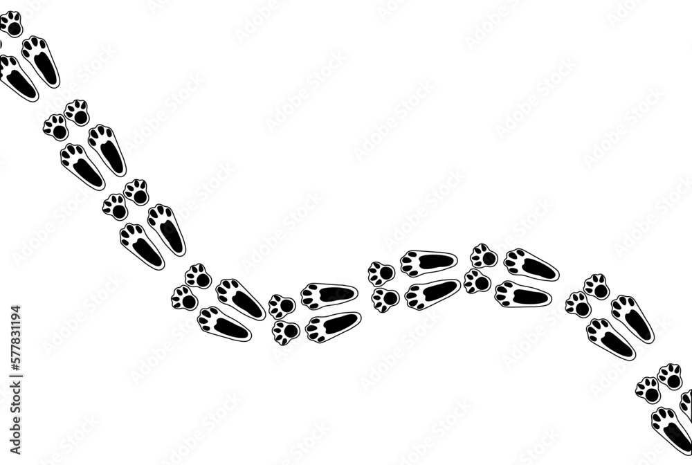 Bunny paw print trail. Isolated illustration on a white background. Vector illustration Bunny paw print trail. Isolated illustration on a white background. Vector illustration