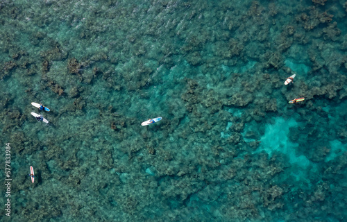 Topdown Surfers