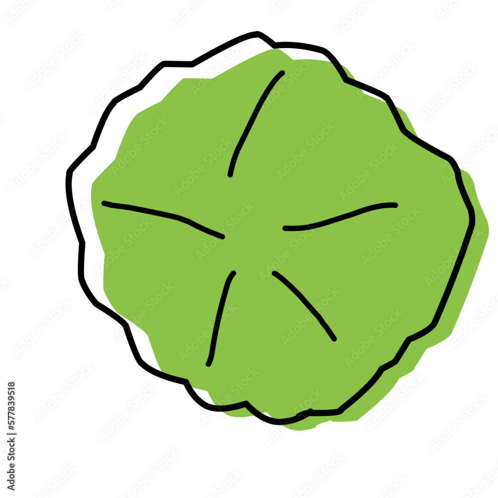 green leaf design element green leaf design element