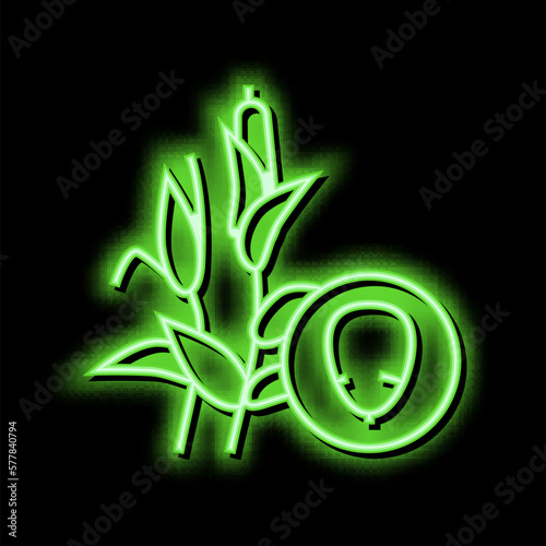 corn groat neon glow icon illustration