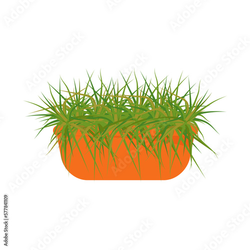 House plants in a pot. Interior Scandinavian design. Design element. . Vector illustration