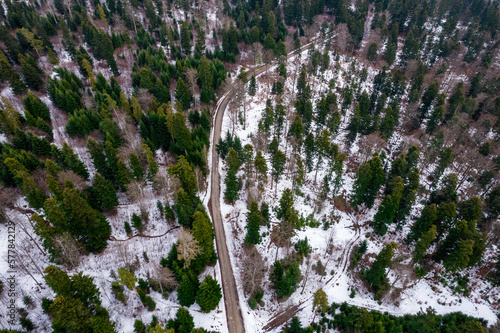 Górska droga wiodąca przez ośnieżony las. Polskie góry zima.