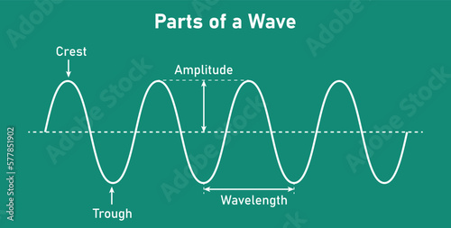 Parts of a transverse wave in physics. The basic properties of waves. Crest, trough, amplitude and wavelength. Vector illustration isolated on chalkboard.