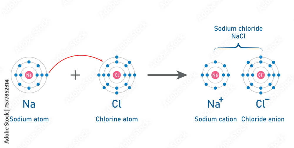 Ionic Bonding In Sodium Chloride Atoms Vector Illustration Isolated On 