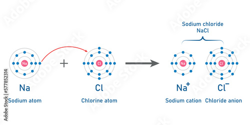 Ionic bonding in sodium chloride atoms. Vector illustration isolated on white background. photo
