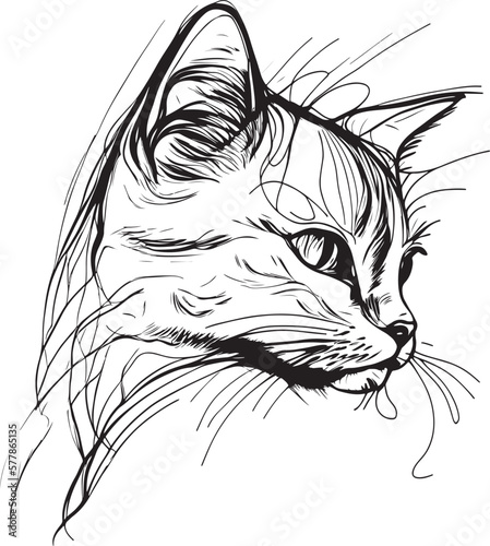 Vector Hand drawn Illustration of a Cat Head