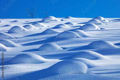 切り株の造形（美瑛）